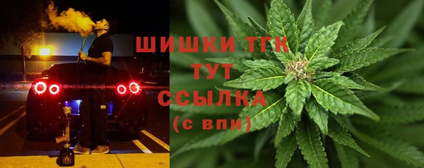 mix Осинники