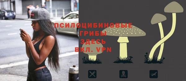 mix Осинники
