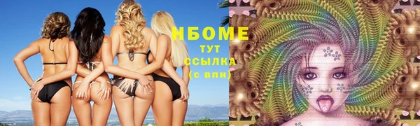 эйфоретик Няндома