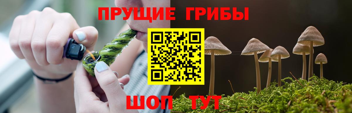 Галлюциногенные грибы Cubensis  Вход с VPN  Великий Новгород 